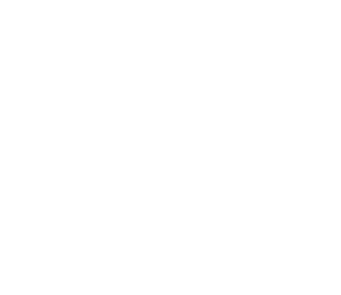 Triny Logo